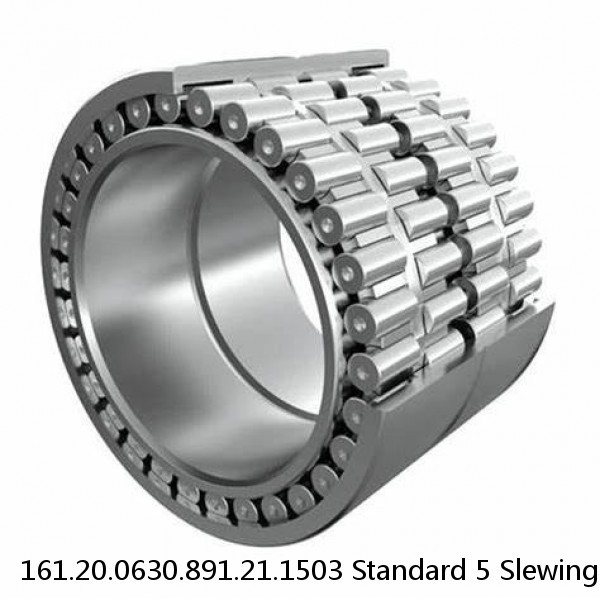 161.20.0630.891.21.1503 Standard 5 Slewing Ring Bearings