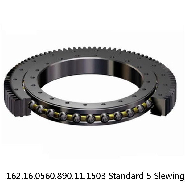 162.16.0560.890.11.1503 Standard 5 Slewing Ring Bearings