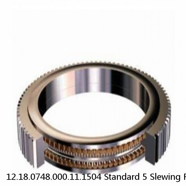 12.18.0748.000.11.1504 Standard 5 Slewing Ring Bearings