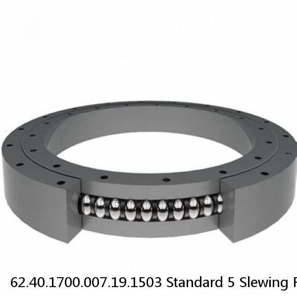 62.40.1700.007.19.1503 Standard 5 Slewing Ring Bearings