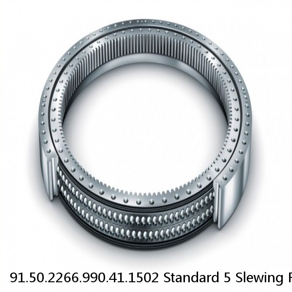 91.50.2266.990.41.1502 Standard 5 Slewing Ring Bearings