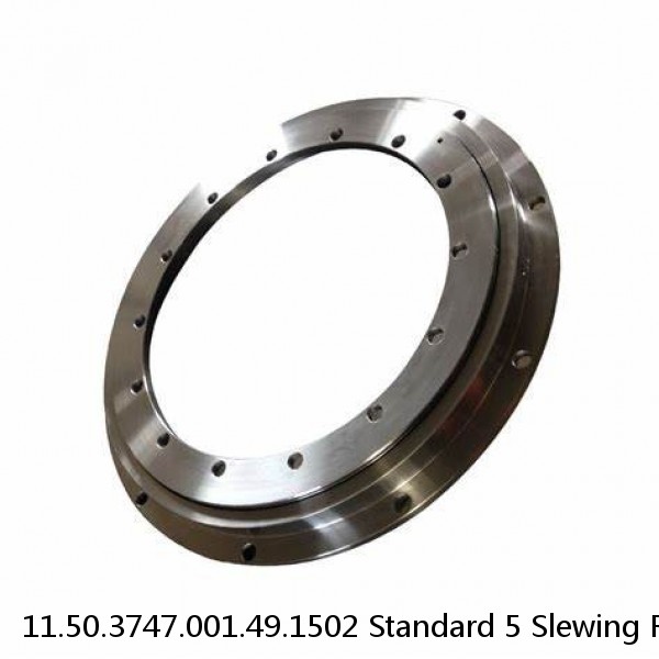 11.50.3747.001.49.1502 Standard 5 Slewing Ring Bearings