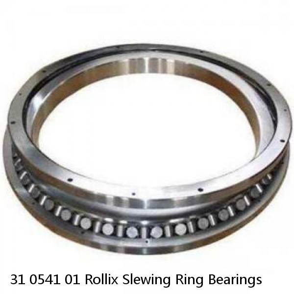 31 0541 01 Rollix Slewing Ring Bearings