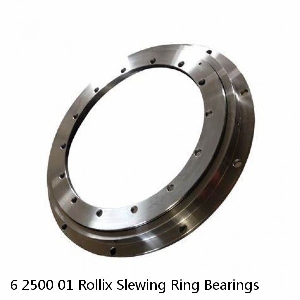 6 2500 01 Rollix Slewing Ring Bearings