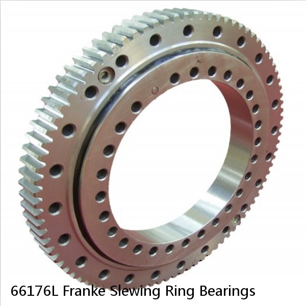 66176L Franke Slewing Ring Bearings