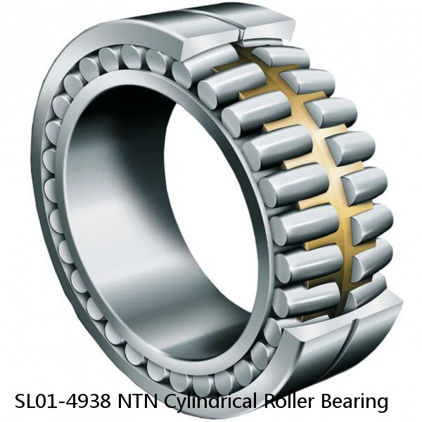 SL01-4938 NTN Cylindrical Roller Bearing
