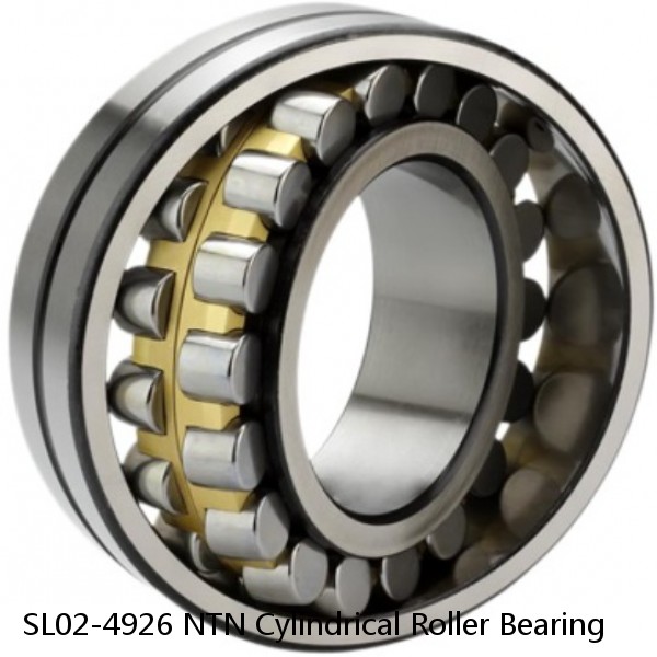 SL02-4926 NTN Cylindrical Roller Bearing