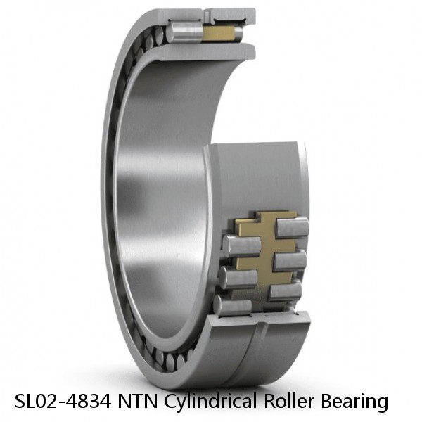 SL02-4834 NTN Cylindrical Roller Bearing