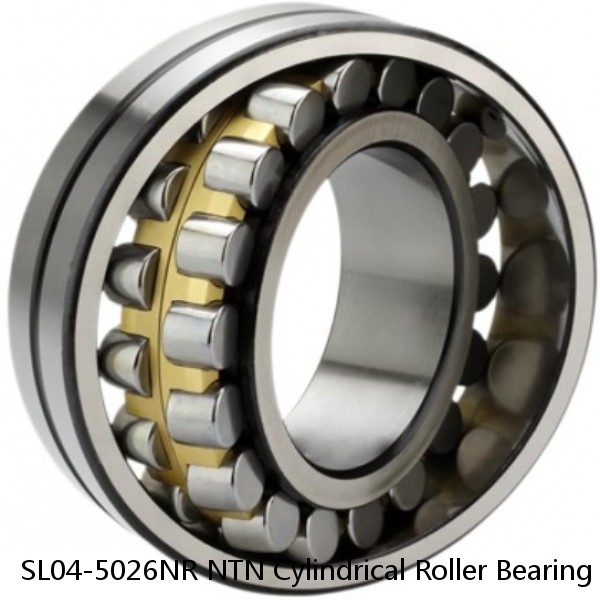 SL04-5026NR NTN Cylindrical Roller Bearing