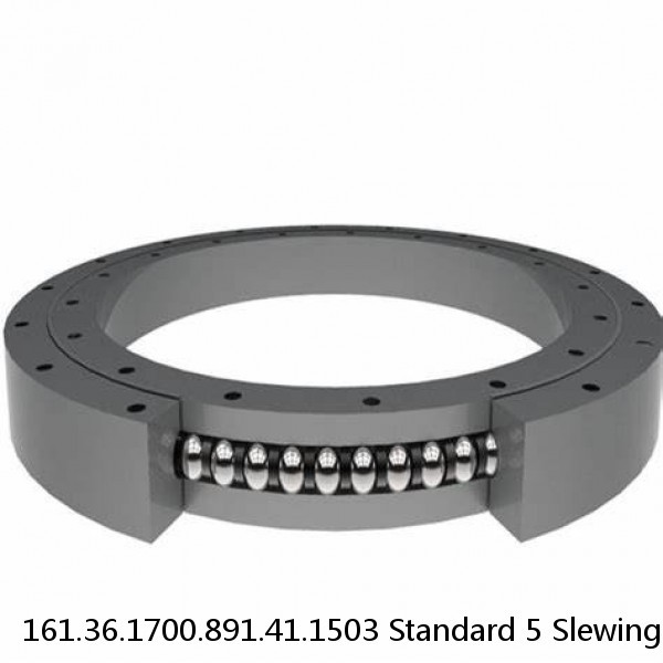 161.36.1700.891.41.1503 Standard 5 Slewing Ring Bearings