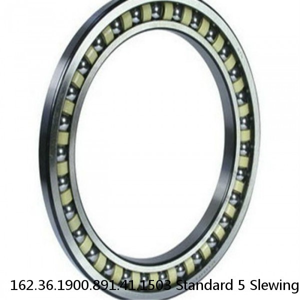 162.36.1900.891.41.1503 Standard 5 Slewing Ring Bearings