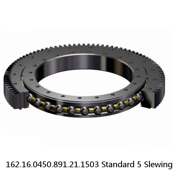 162.16.0450.891.21.1503 Standard 5 Slewing Ring Bearings