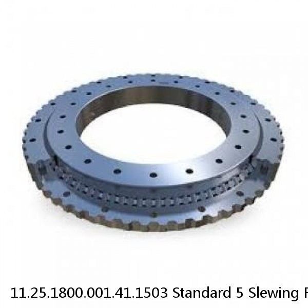 11.25.1800.001.41.1503 Standard 5 Slewing Ring Bearings