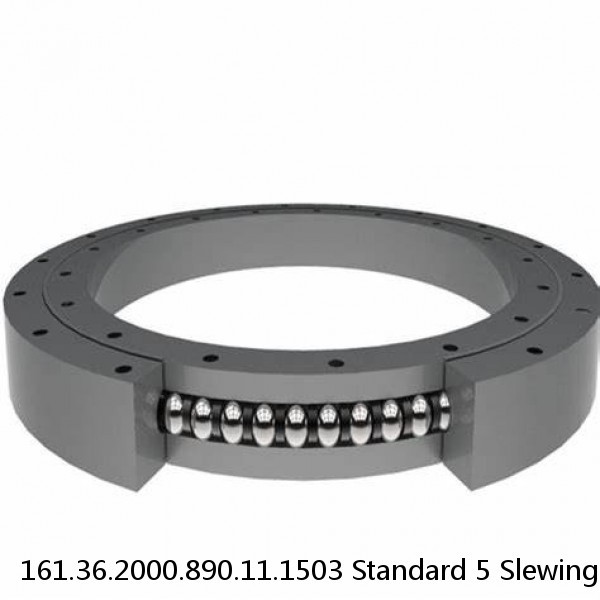 161.36.2000.890.11.1503 Standard 5 Slewing Ring Bearings