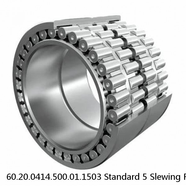 60.20.0414.500.01.1503 Standard 5 Slewing Ring Bearings