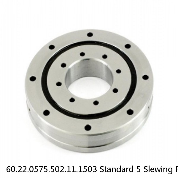 60.22.0575.502.11.1503 Standard 5 Slewing Ring Bearings