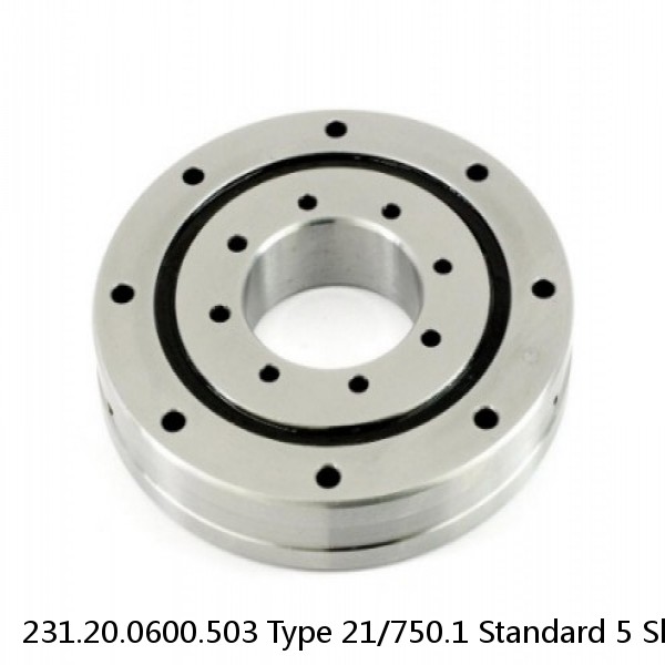 231.20.0600.503 Type 21/750.1 Standard 5 Slewing Ring Bearings