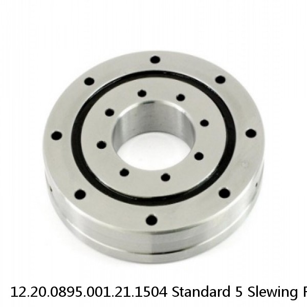 12.20.0895.001.21.1504 Standard 5 Slewing Ring Bearings