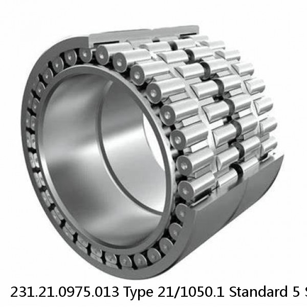 231.21.0975.013 Type 21/1050.1 Standard 5 Slewing Ring Bearings