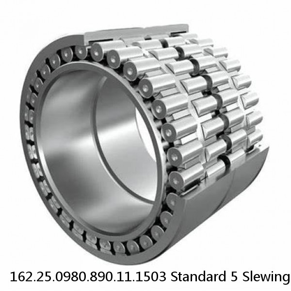 162.25.0980.890.11.1503 Standard 5 Slewing Ring Bearings