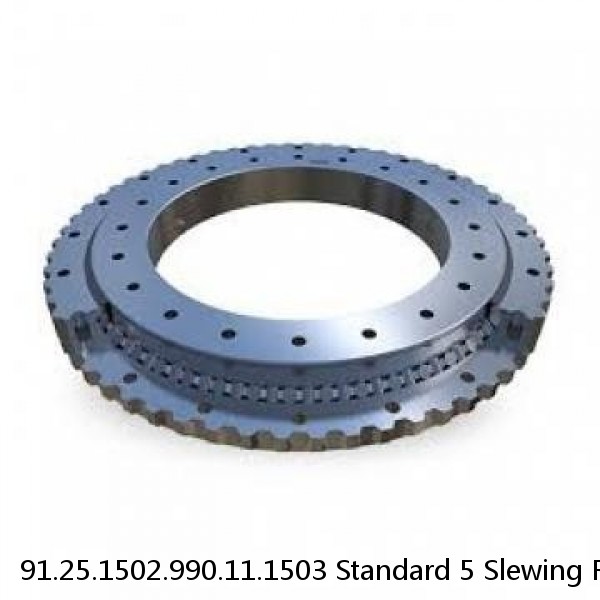 91.25.1502.990.11.1503 Standard 5 Slewing Ring Bearings