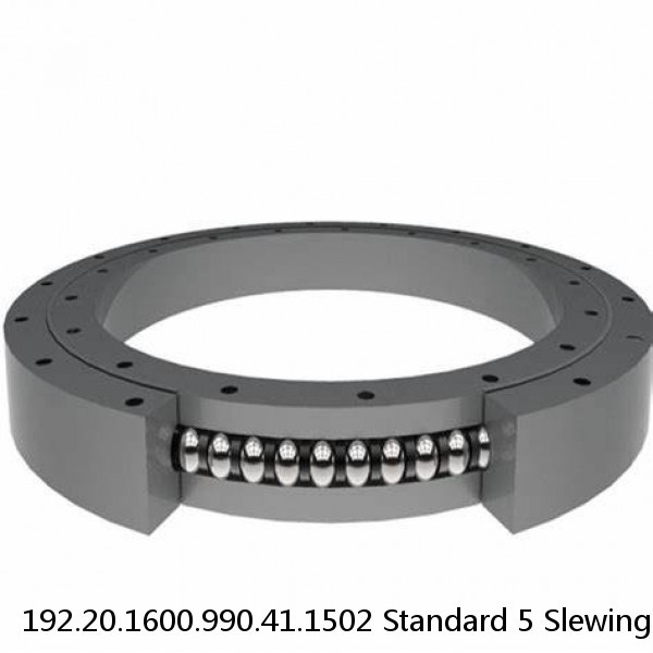 192.20.1600.990.41.1502 Standard 5 Slewing Ring Bearings