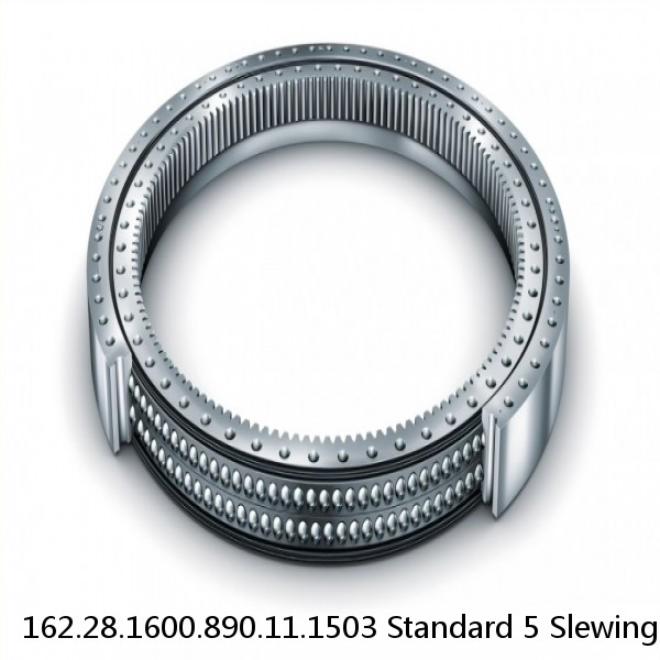 162.28.1600.890.11.1503 Standard 5 Slewing Ring Bearings