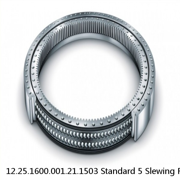 12.25.1600.001.21.1503 Standard 5 Slewing Ring Bearings