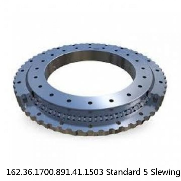 162.36.1700.891.41.1503 Standard 5 Slewing Ring Bearings