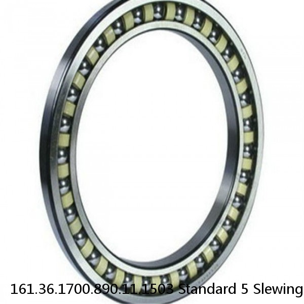 161.36.1700.890.11.1503 Standard 5 Slewing Ring Bearings