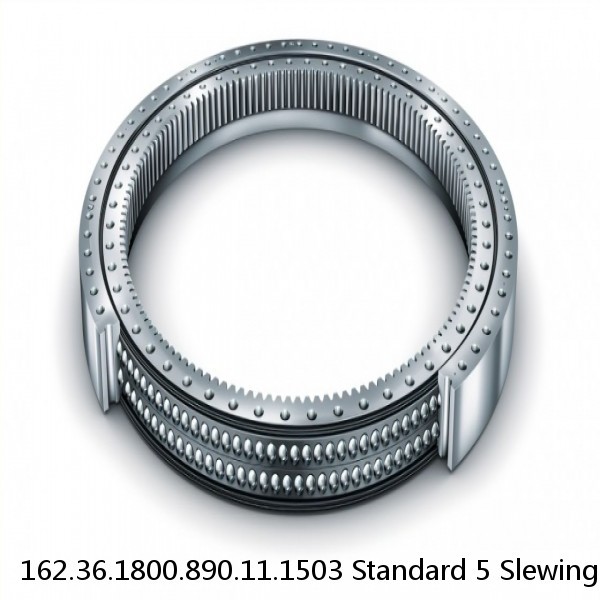 162.36.1800.890.11.1503 Standard 5 Slewing Ring Bearings