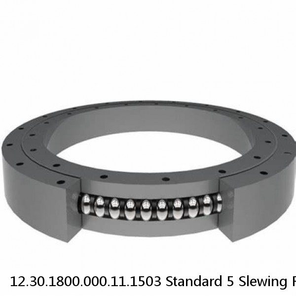 12.30.1800.000.11.1503 Standard 5 Slewing Ring Bearings