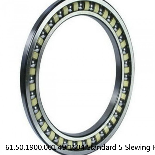 61.50.1900.001.49.1504 Standard 5 Slewing Ring Bearings