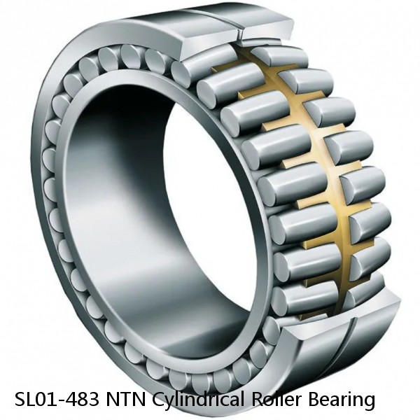 SL01-483 NTN Cylindrical Roller Bearing