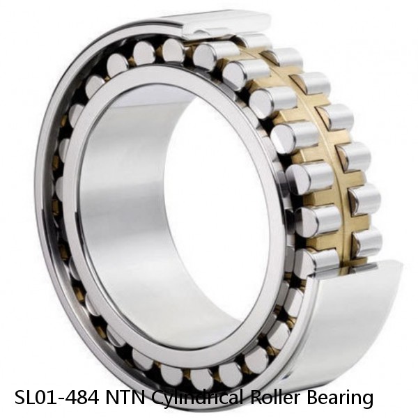 SL01-484 NTN Cylindrical Roller Bearing