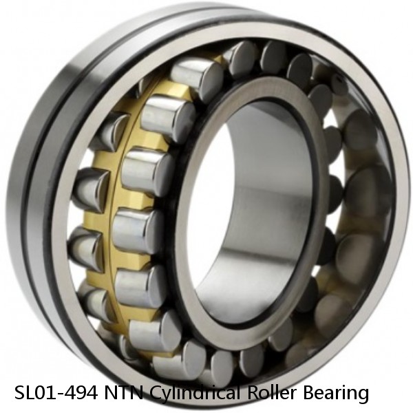 SL01-494 NTN Cylindrical Roller Bearing