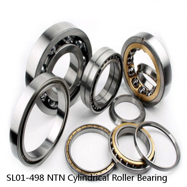 SL01-498 NTN Cylindrical Roller Bearing