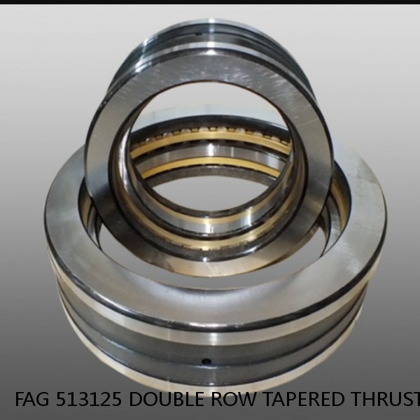 FAG 513125 DOUBLE ROW TAPERED THRUST ROLLER BEARINGS